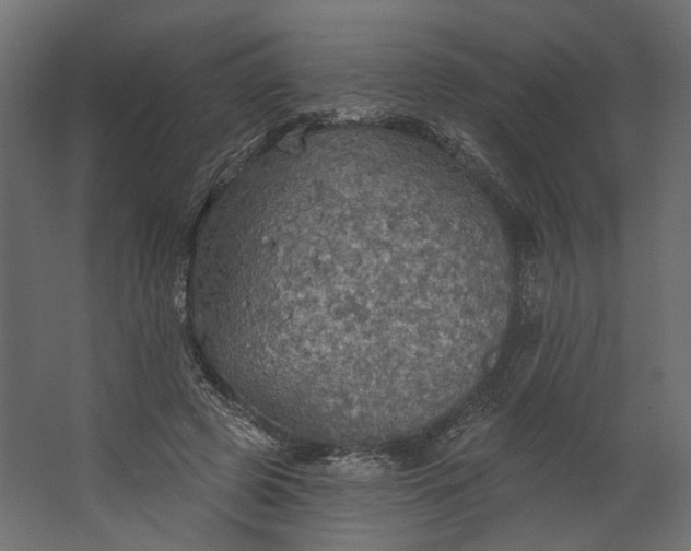 X0000067470545200604211609