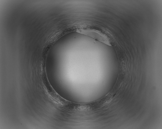 X0000067470546200604211609