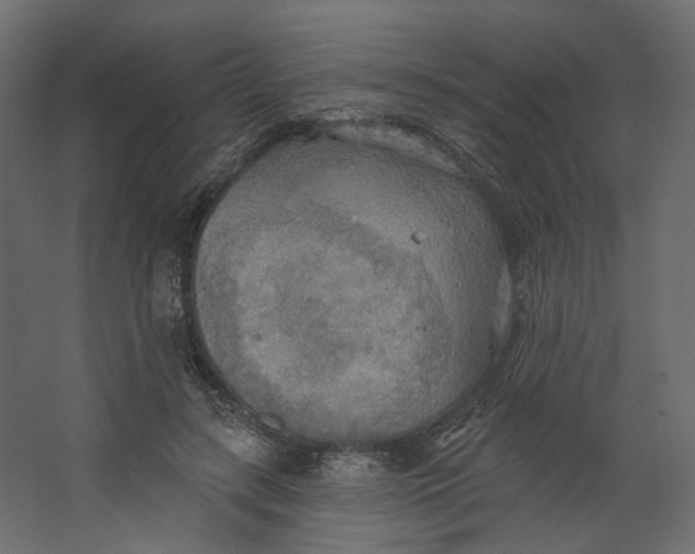 X0000067470547200604211609