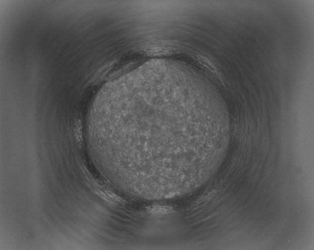 X0000067470549200604211609