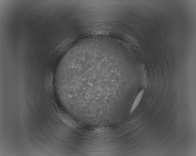 X0000067470550200604211610