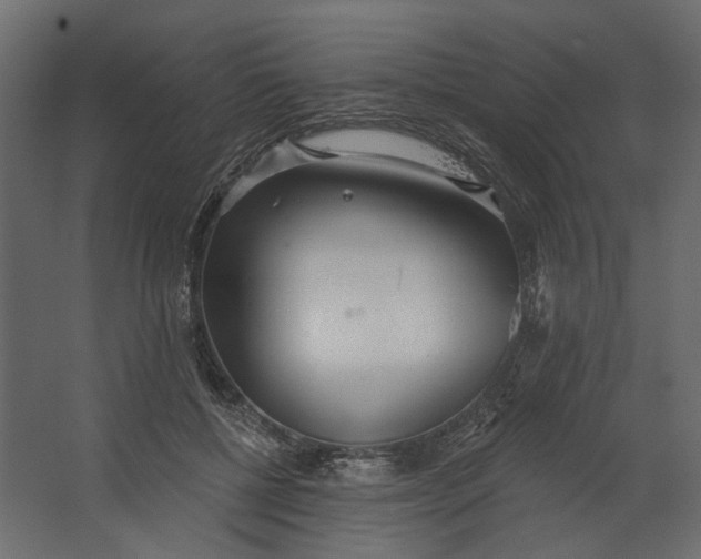 X0000067470552200604211610