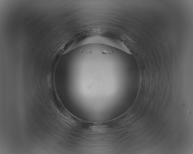 X0000067470556200604211610