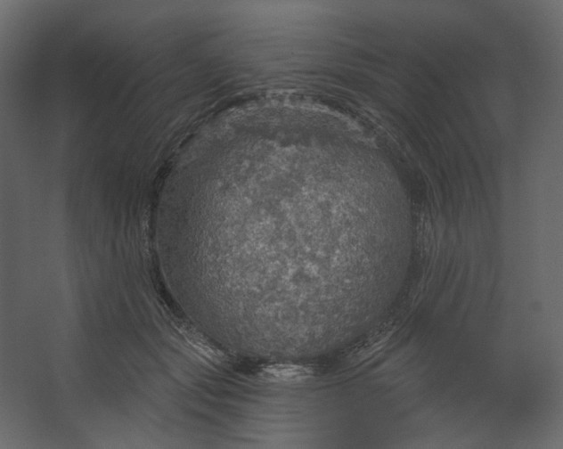 X0000067470557200604211610