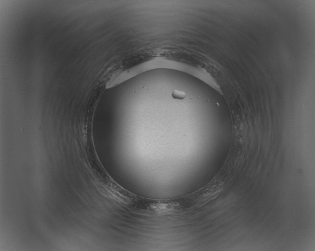 X0000067470558200604211610