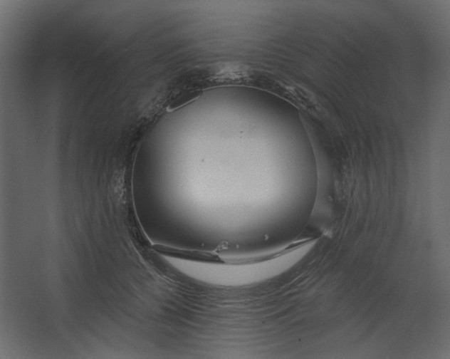 X0000067470560200604211610