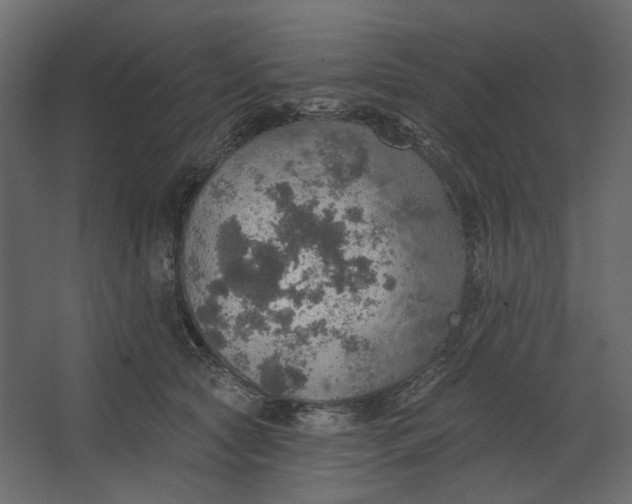 X0000067470561200604211610