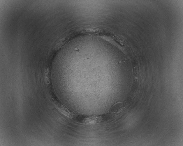 X0000067470563200604211610