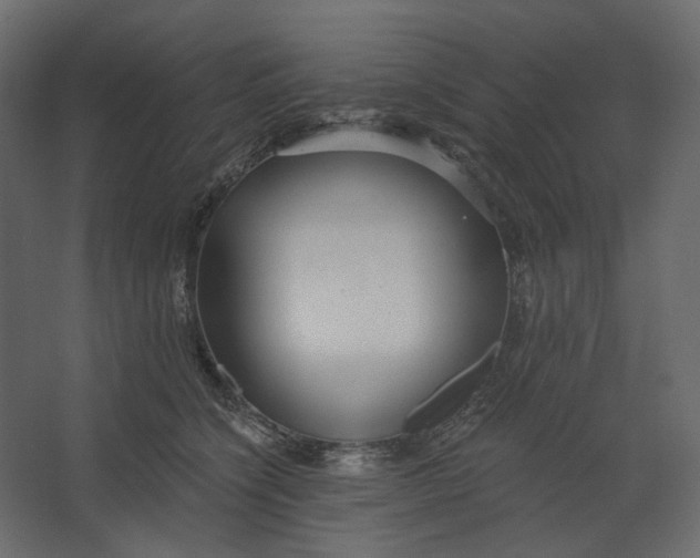 X0000067470564200604211610