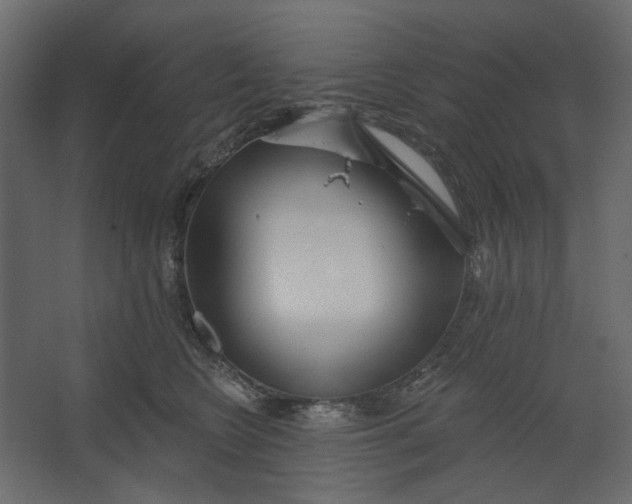 X0000067470566200604211610