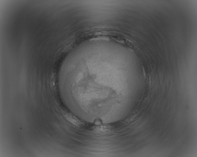 X0000067470567200604211610