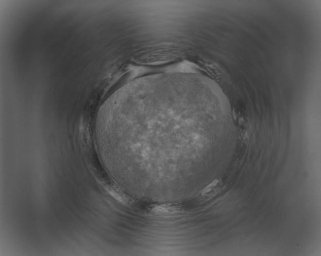 X0000067470568200604211610