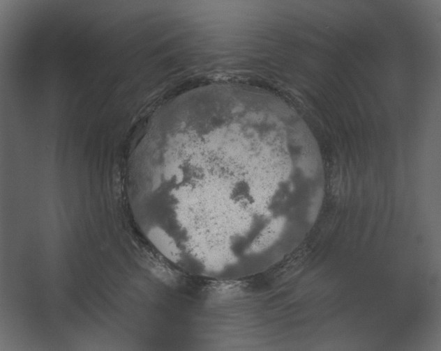 X0000067470569200604211610