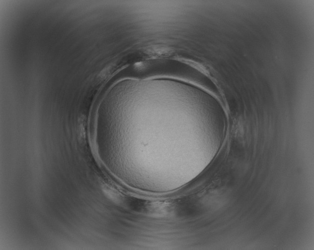 X0000067470570200604211610