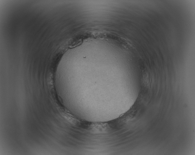 X0000067470571200604211610