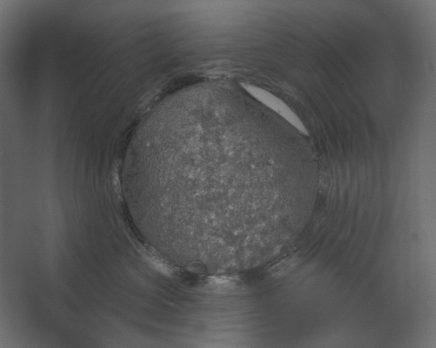 X0000067470573200604211610