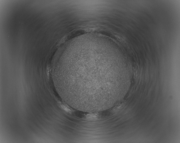 X0000067470574200604211610