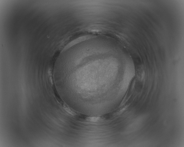 X0000067470575200604211610