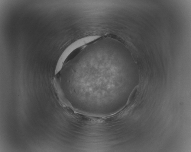 X0000067470576200604211610