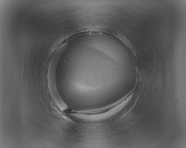 X0000067470577200604211609