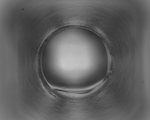 X0000067470580200604211609