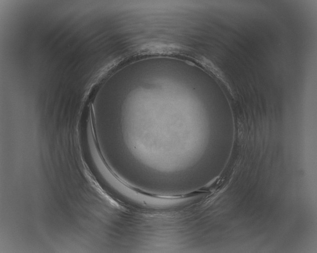 X0000067470581200604211609