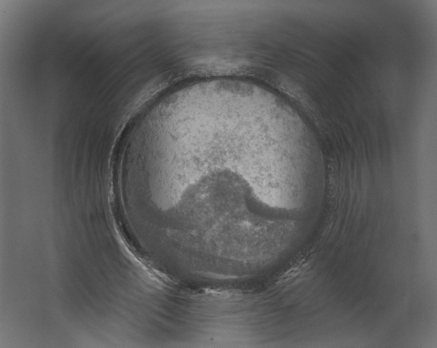 X0000067470582200604211609