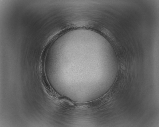 X0000067470583200604211609