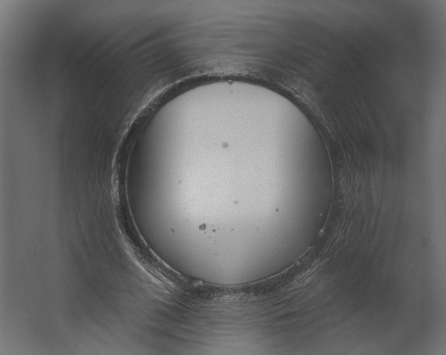 X0000067470584200604211609