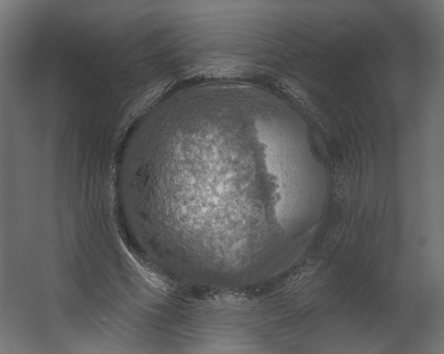 X0000067470586200604211609