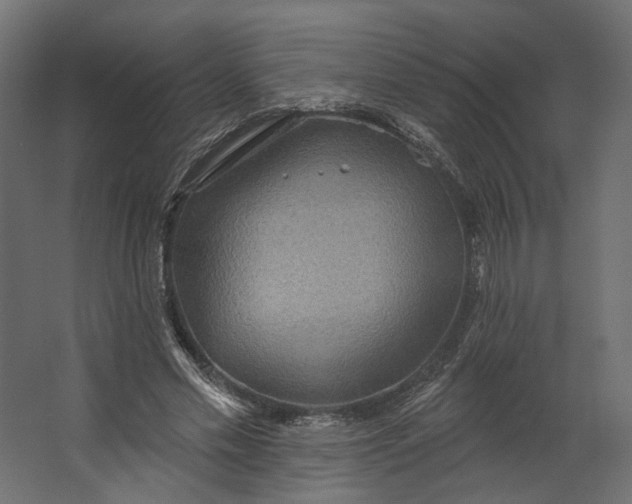 X0000067470589200604211609