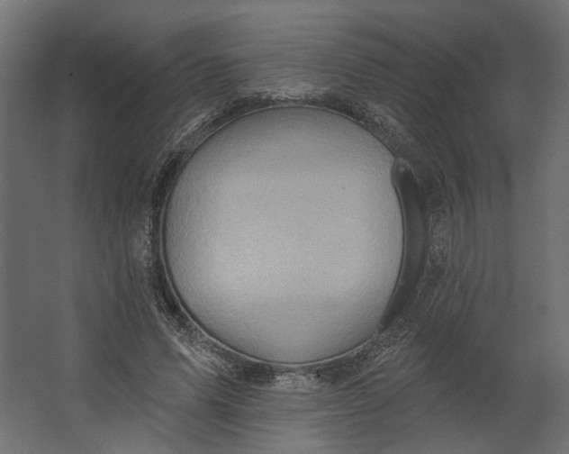 X0000067470591200604211609