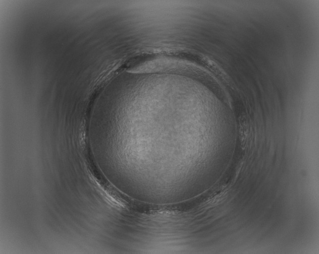 X0000067470593200604211609