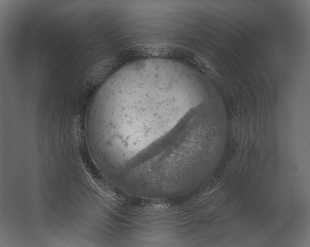 X0000067470594200604211609