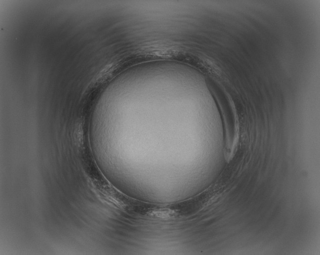 X0000067470595200604211609