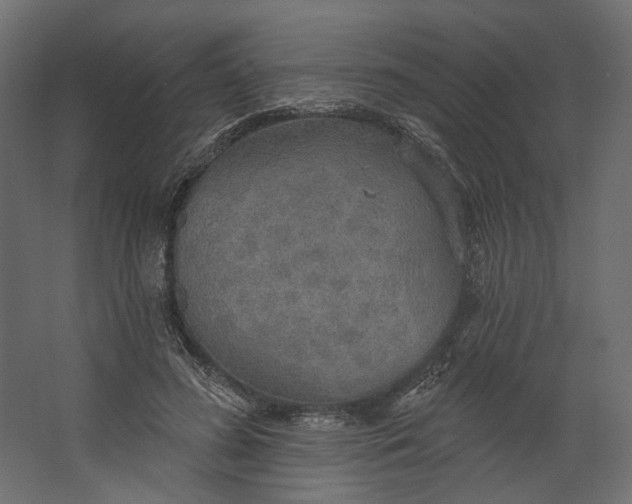 X0000067470596200604211609