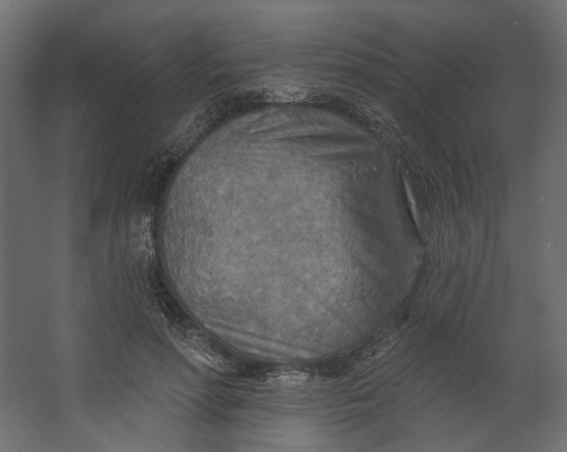 X0000067470598200604211609