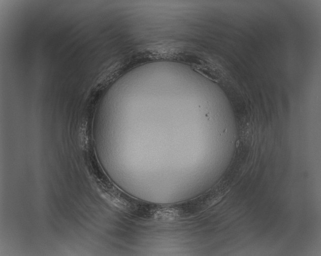 X0000067470599200604211609