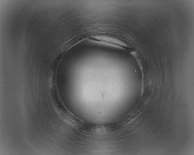 X0000067470600200604211609