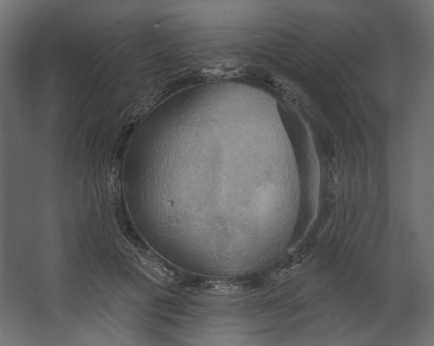 X0000067470601200604211609