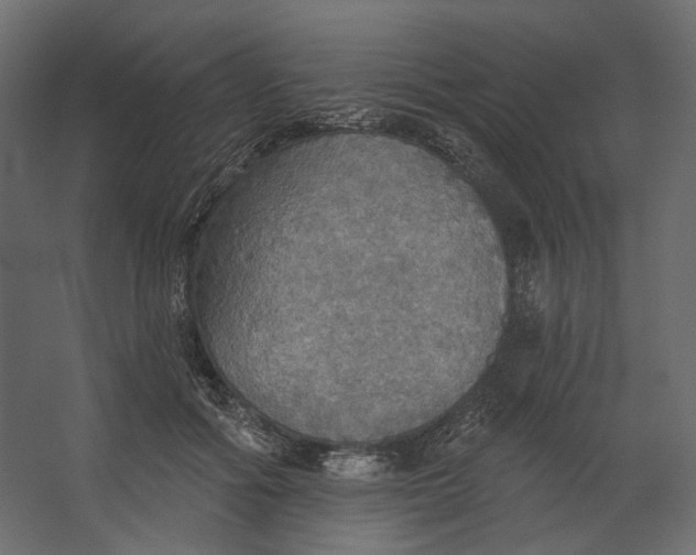 X0000067470602200604211609