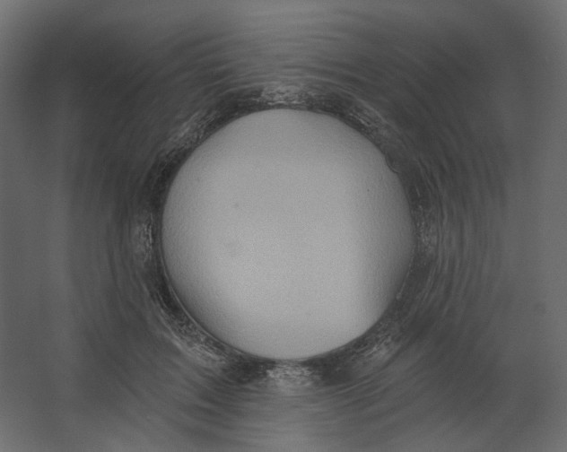 X0000067470603200604211609