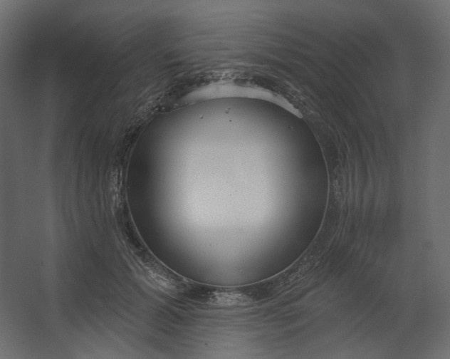 X0000067470605200604211609