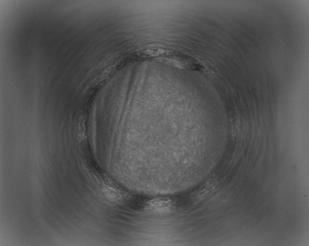 X0000067470606200604211609