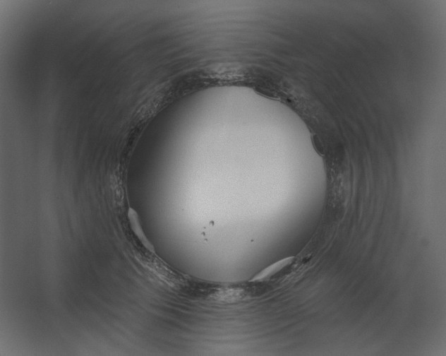 X0000067470609200604211609