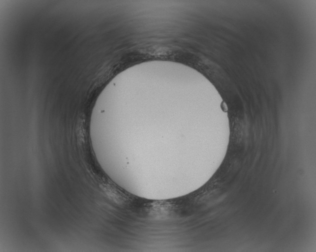 X0000067470612200604211609