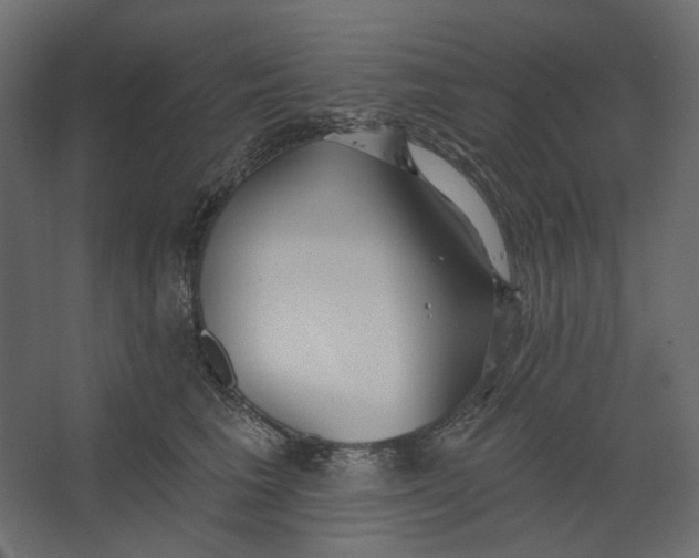 X0000067470613200604211609