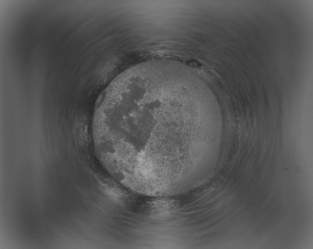 X0000067470615200604211609