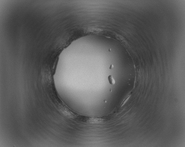 X0000067470617200604211608