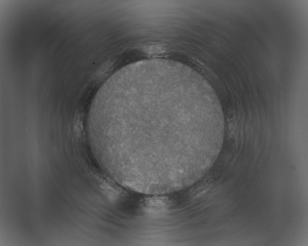 X0000067470618200604211608